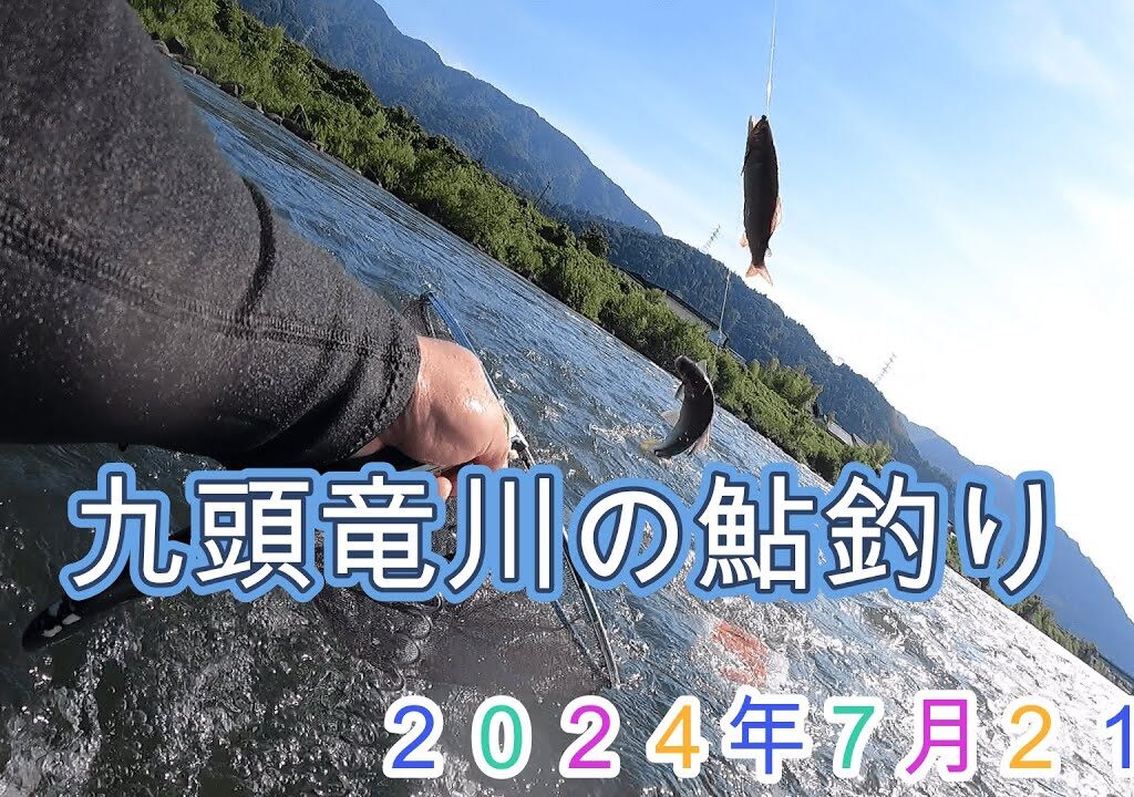 九頭竜川の鮎釣り　2024年7月2１日