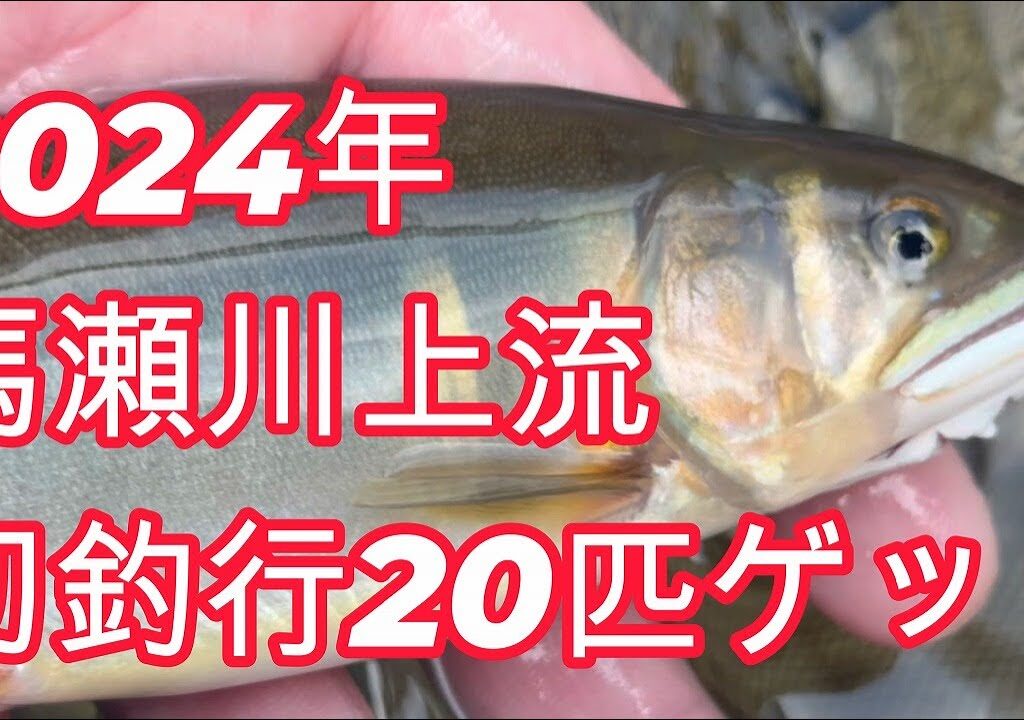 2024年　初釣行　馬瀬川釣行　鮎釣り　7月2週目　ショートバージョン