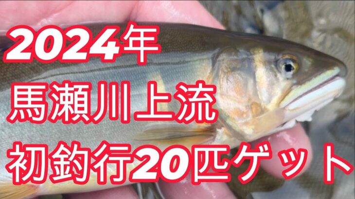2024年　初釣行　馬瀬川釣行　鮎釣り　7月2週目　ショートバージョン