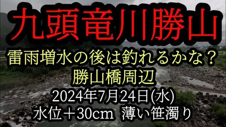 九頭竜川『勝山』雷雨増水の後は釣れるかな?　2024年7月24日(水)