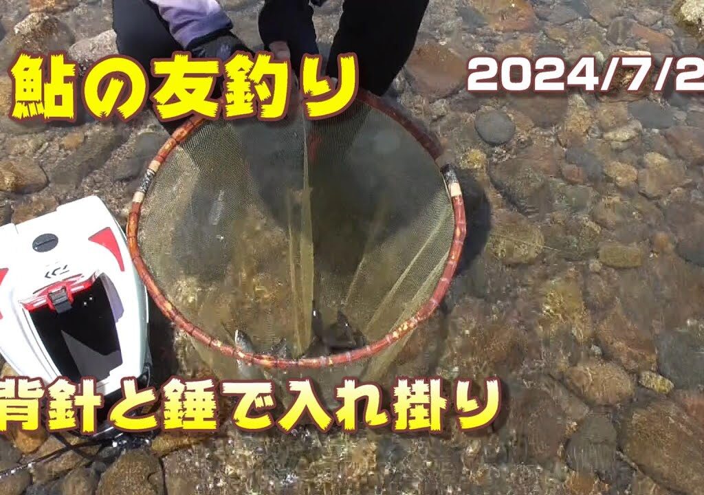 【鮎の友釣り】背針と錘で入れ掛り2024年7月26日