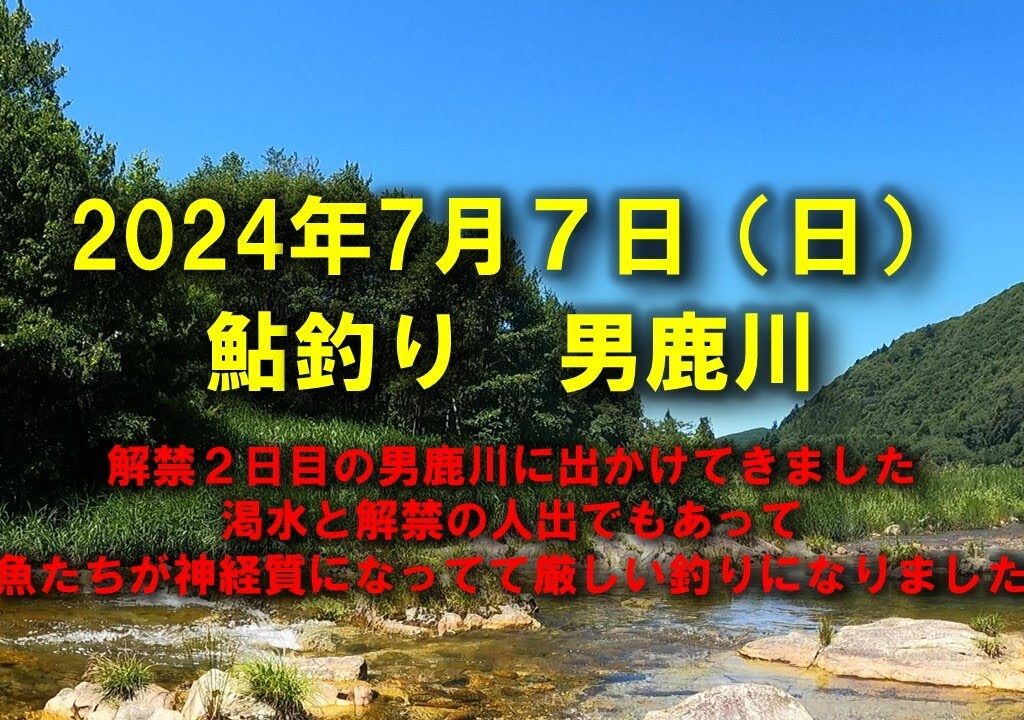 【2024鮎釣り】7月7日（日）男鹿川釣行（おじか・きぬ漁協）