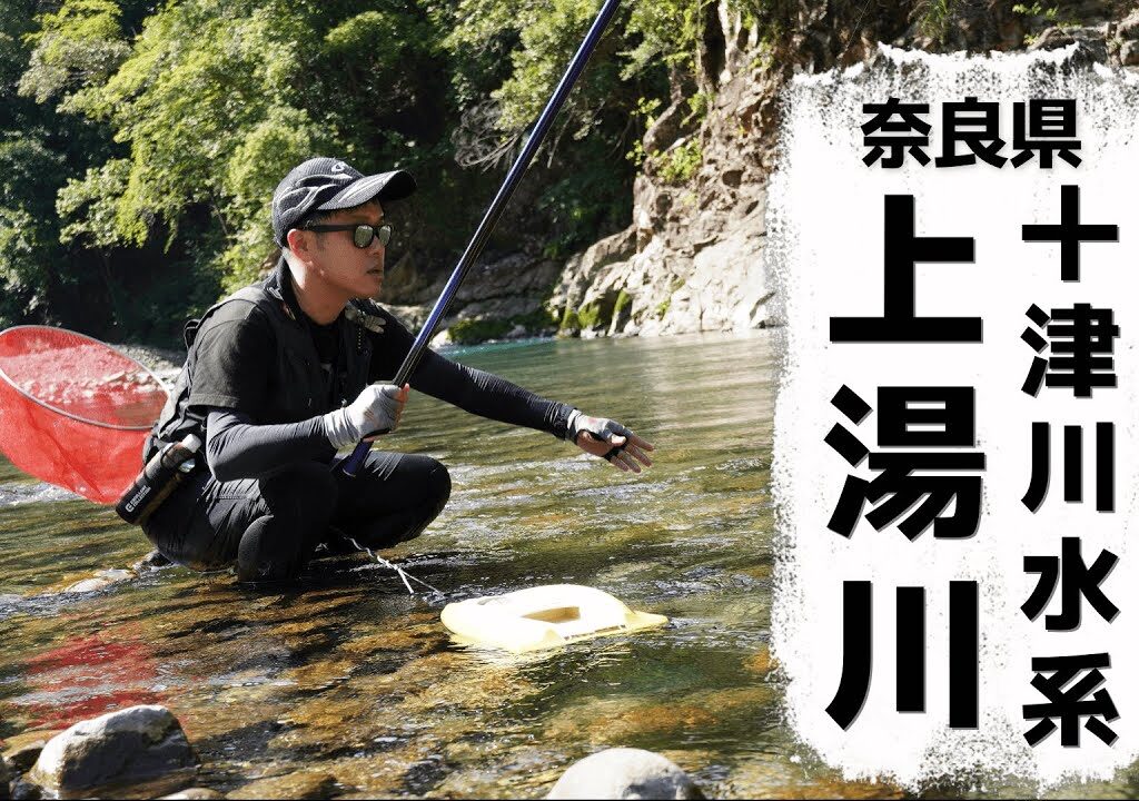 十津川水系上湯川友釣り/増水後を攻略できるか？？？2024/7月9日