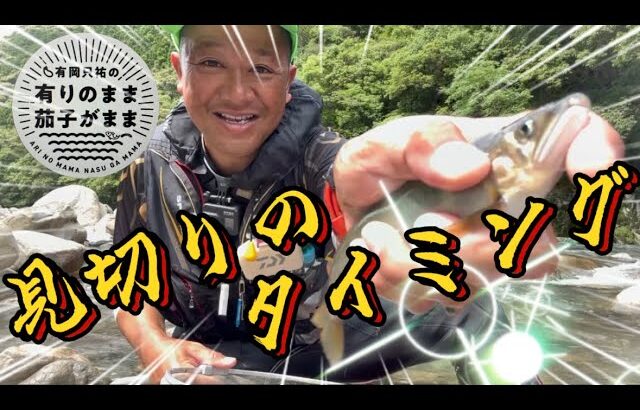 【鮎釣り】2027/6/ 11 粘りと見切りを上手くすれば釣果は上がるはず