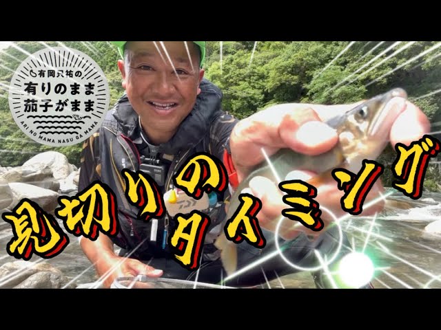 【鮎釣り】2027/6/ 11 粘りと見切りを上手くすれば釣果は上がるはず
