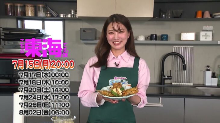 2年目の鮎釣りバージョン1.103.010（岐阜県）【釣りビジョン番組紹介】