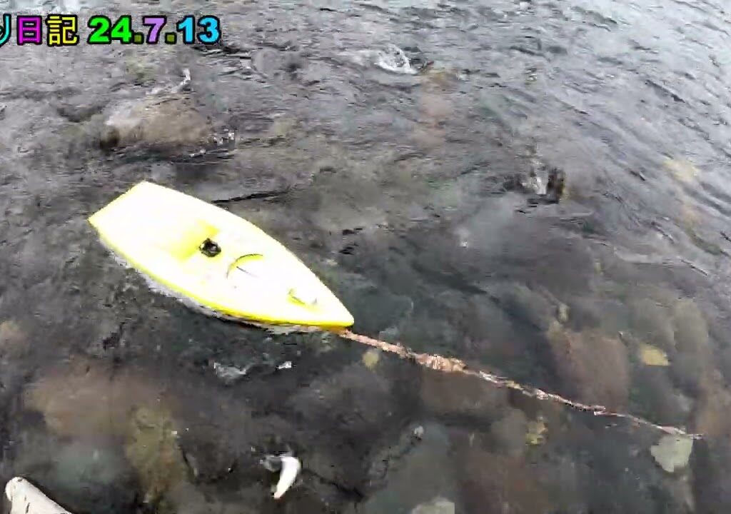 鮎釣り日記 24 7 13
