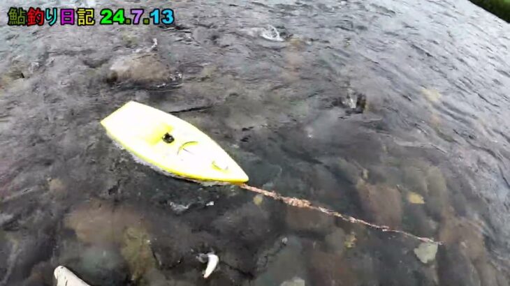 鮎釣り日記 24 7 13