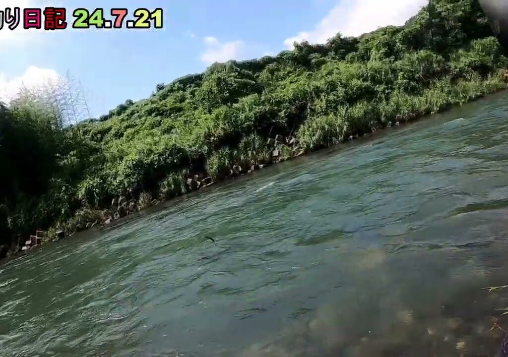 鮎釣り日記 24 7 21