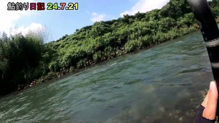 鮎釣り日記 24 7 21