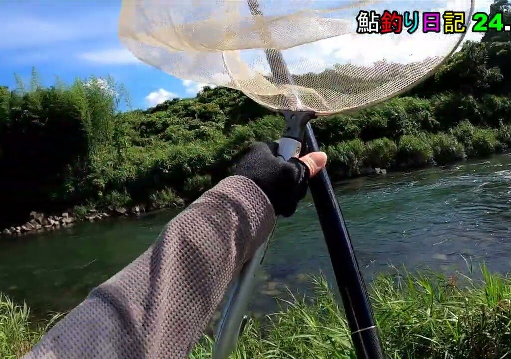 鮎釣り日記 24 7 28