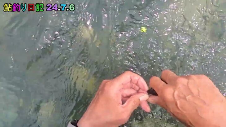 鮎釣り日記 24 7 6