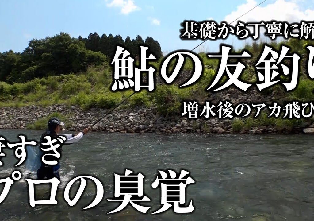 【凄技】増水後でも達人なら誰でも簡単に鮎を釣らせてしまう｜ガッ釣り258
