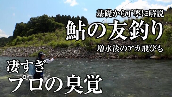 【凄技】増水後でも達人なら誰でも簡単に鮎を釣らせてしまう｜ガッ釣り258