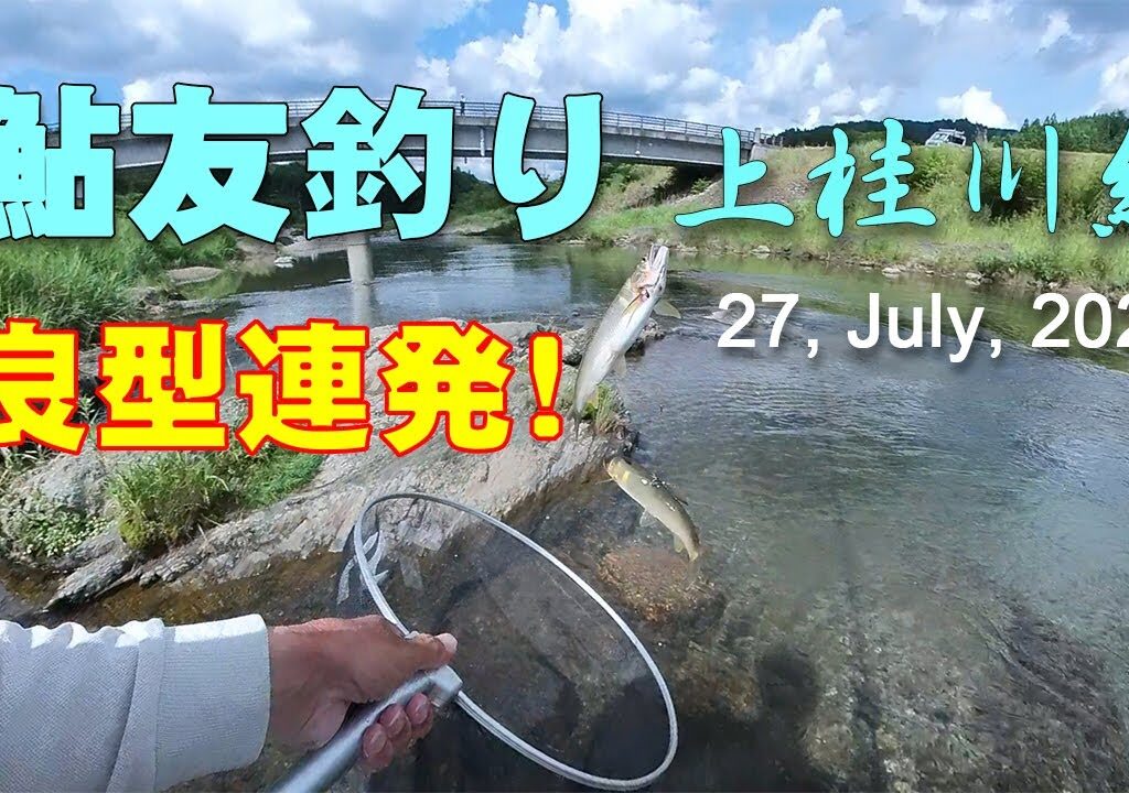鮎友釣り・上桂川編  27, July, 2024