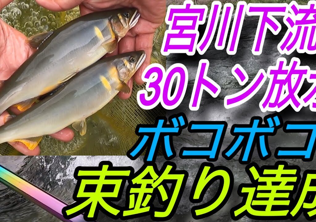 宮川下流30トン放水！ボコボコの束釣り達成