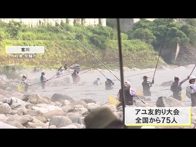 優勝者は3時間で24匹…宮川でアユの友釣りの大会 曇り空と連日の雨の影響で多くが苦戦 岐阜県飛騨市