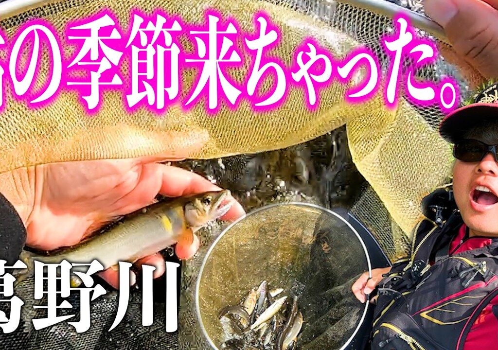 【鮎釣り】友釣り5年目にしてやっと複合ラインとオモリに手を出した男が葛野川に挑む！　/まりんのこいけ