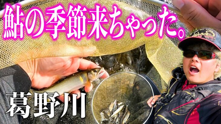 【鮎釣り】友釣り5年目にしてやっと複合ラインとオモリに手を出した男が葛野川に挑む！　/まりんのこいけ