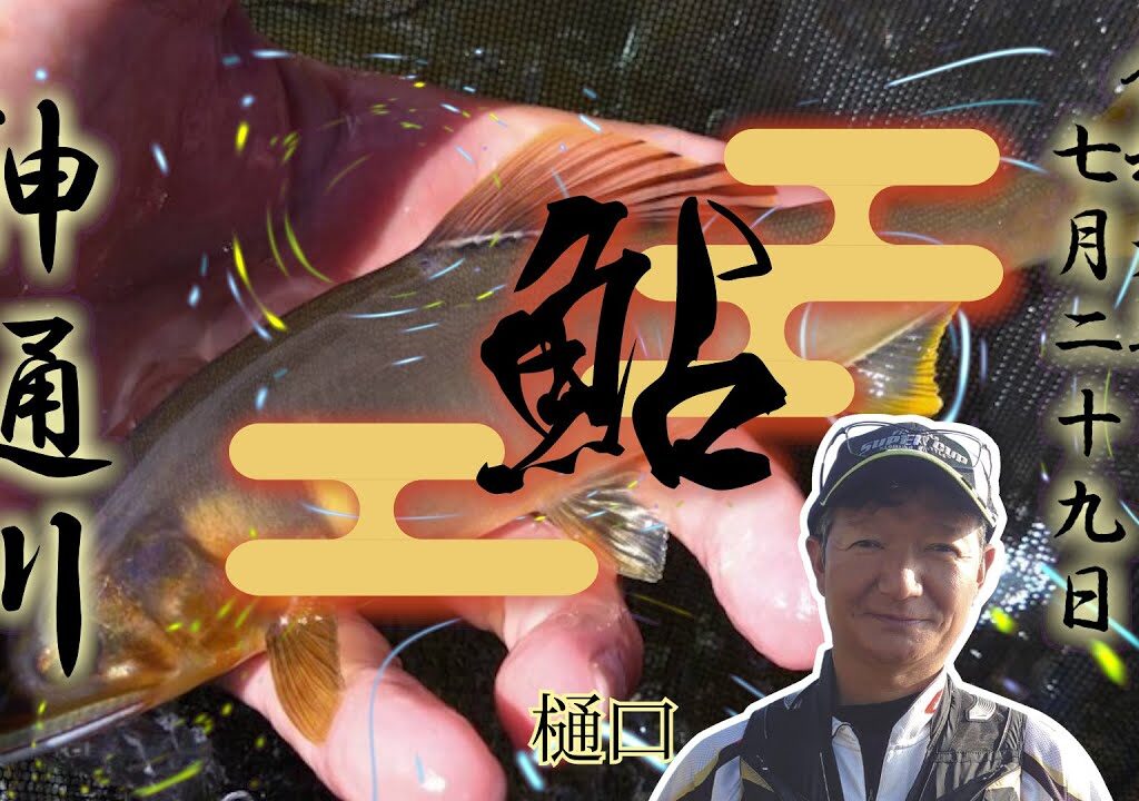 7 29 神通川　鮎