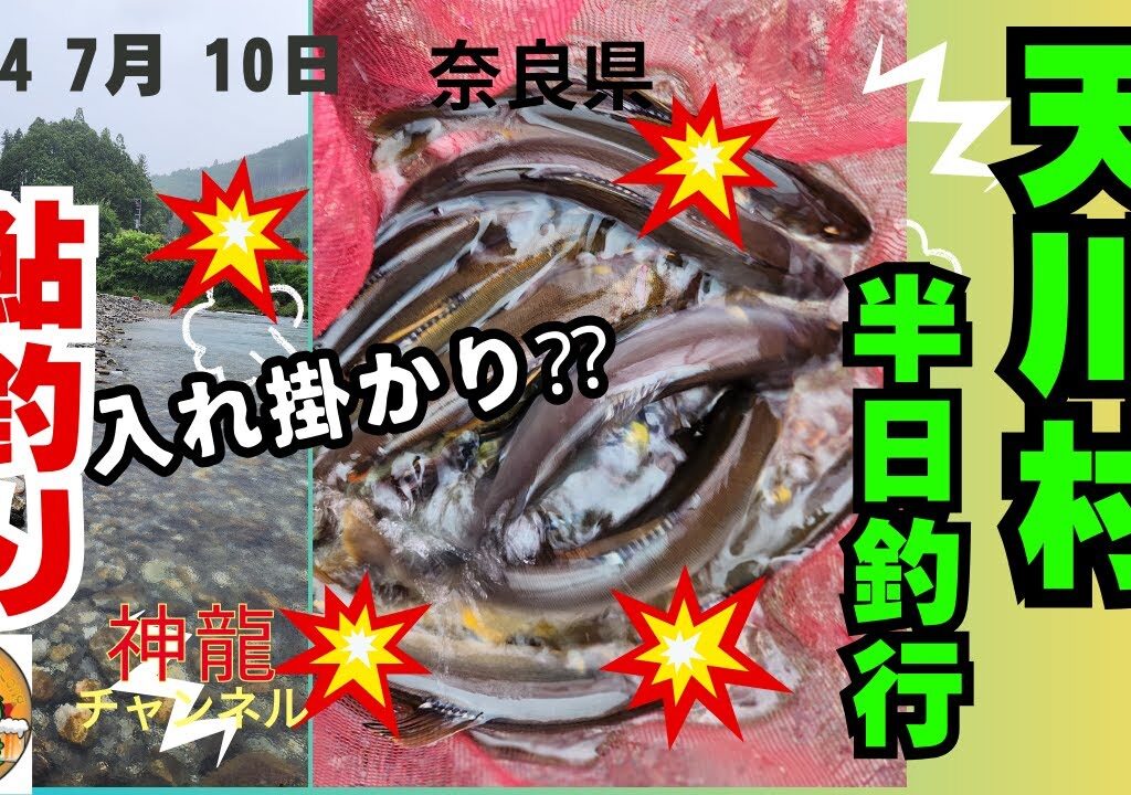 7月10日天川村での鮎釣り