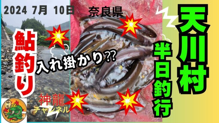 7月10日天川村での鮎釣り