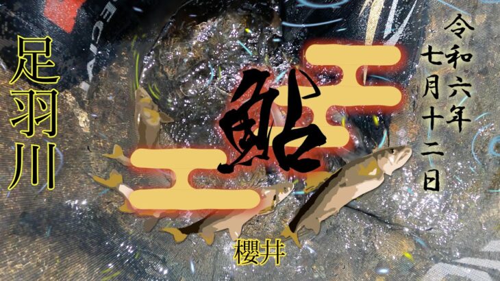 7月12日　足羽川での鮎釣り