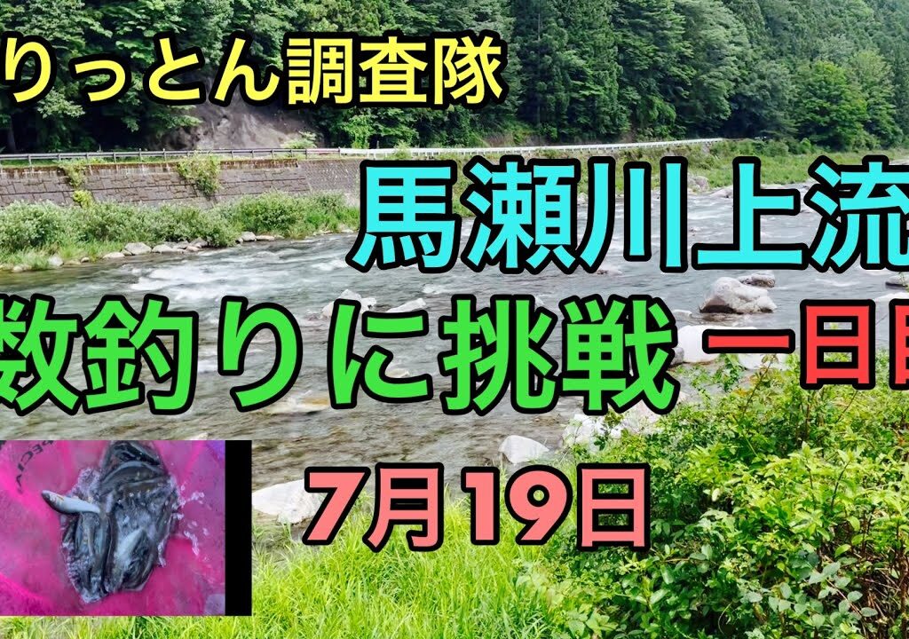 馬瀬川上流で数釣りに挑戦！7月19日