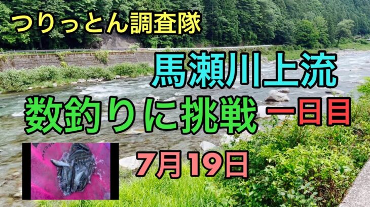 馬瀬川上流で数釣りに挑戦！7月19日