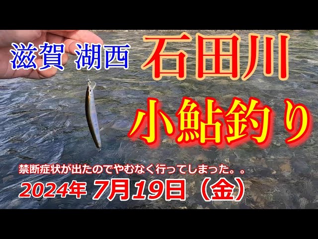【7月19日】滋賀湖西の石田川に小鮎釣り行ってきた。