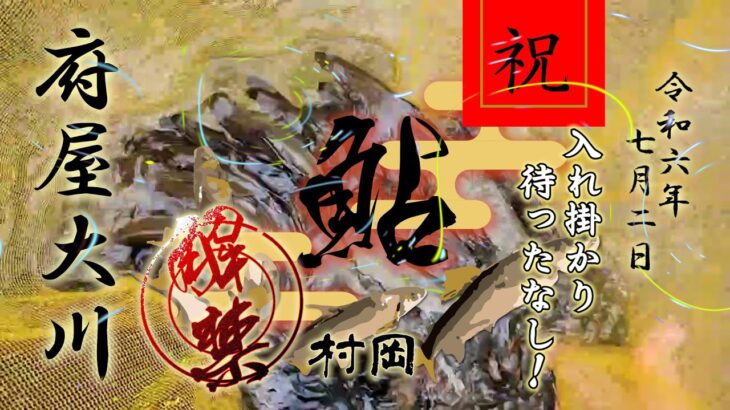7月2日 解禁！府屋大川でアユ入れ掛かり待ったなし！
