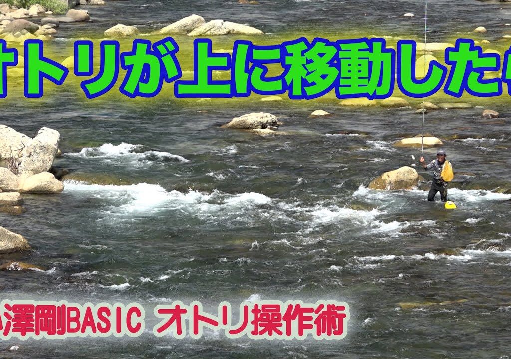 小澤剛BASICオトリ操作術 オトリが上に移動したら