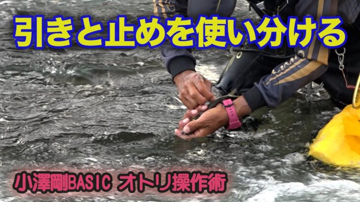 小澤剛BASICオトリ操作術 引きと止めを使い分ける