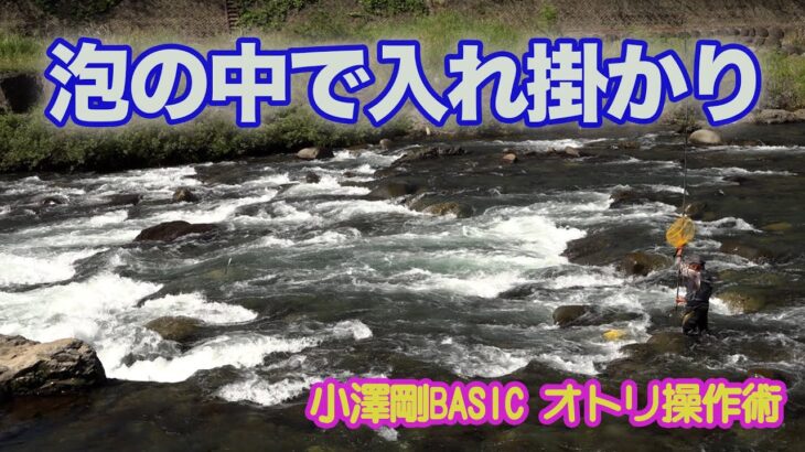 小澤剛BASICオトリ操作術 泡の中で入れ掛かり