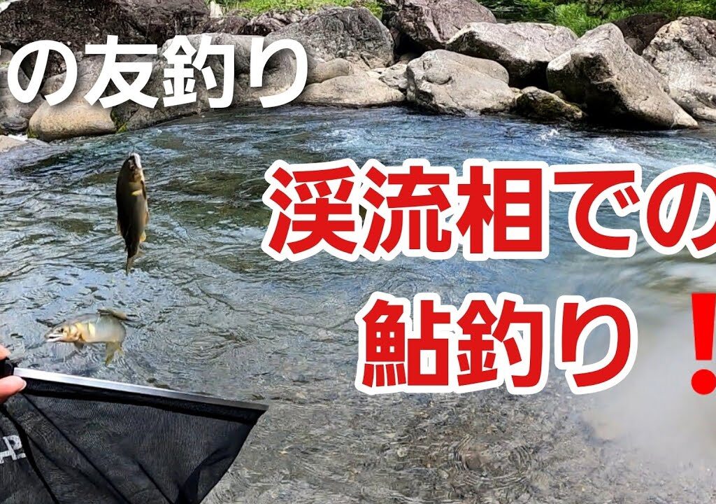NO32  渓流相での鮎釣り、午後からは初めての瀬に入ります　【友釣りオレ流】