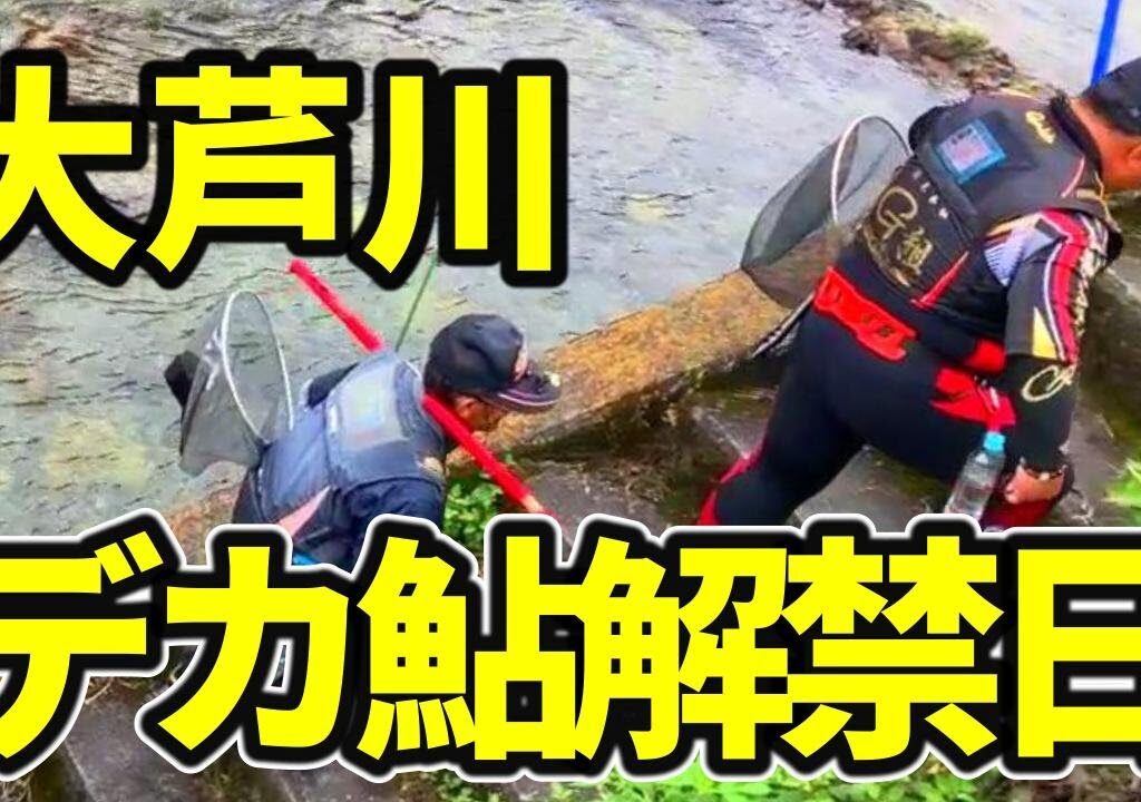 【鮎釣り 大芦川】良型に歓喜の声 近年まれにみる解禁日 ７月はもっといい！？釣り人に笑顔 River Healing Channel （リバヒ）