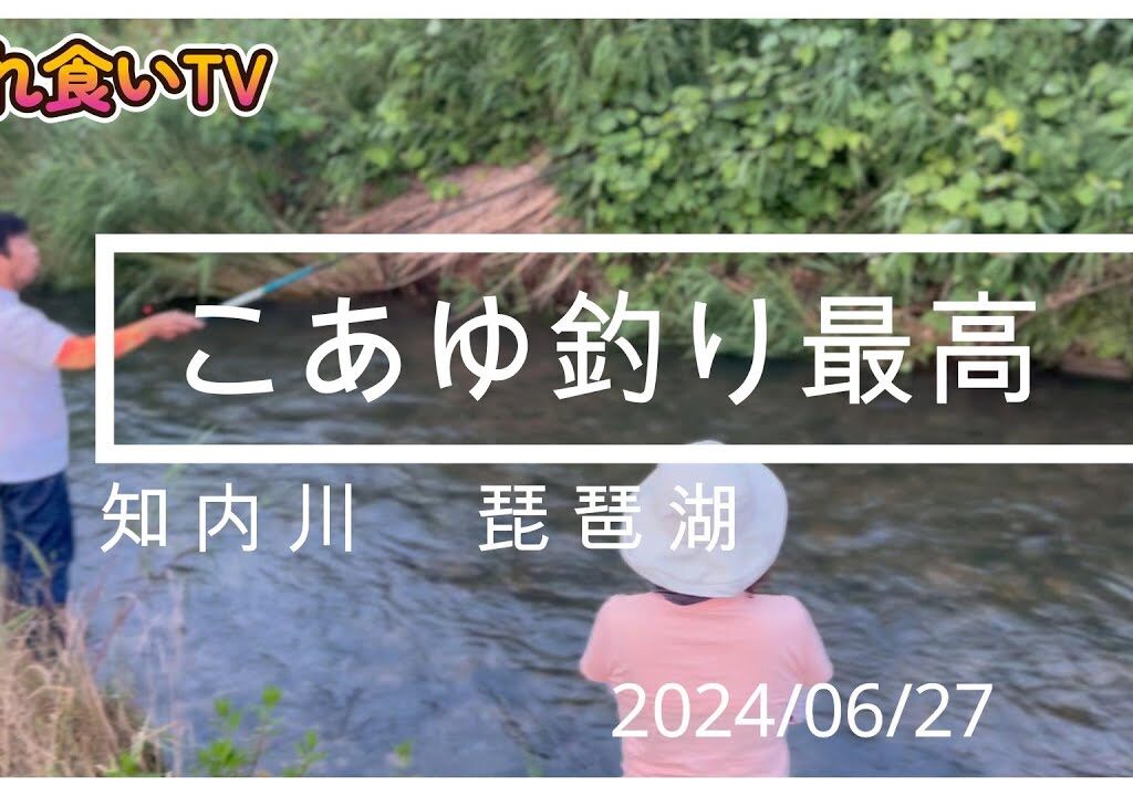 【入れ食いTV】知内川で小鮎釣り、今年はサイズも大きくて引きを楽しめますよ。https://youtu.be/Da7b4A02aqo