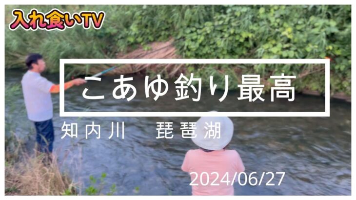【入れ食いTV】知内川で小鮎釣り、今年はサイズも大きくて引きを楽しめますよ。https://youtu.be/Da7b4A02aqo