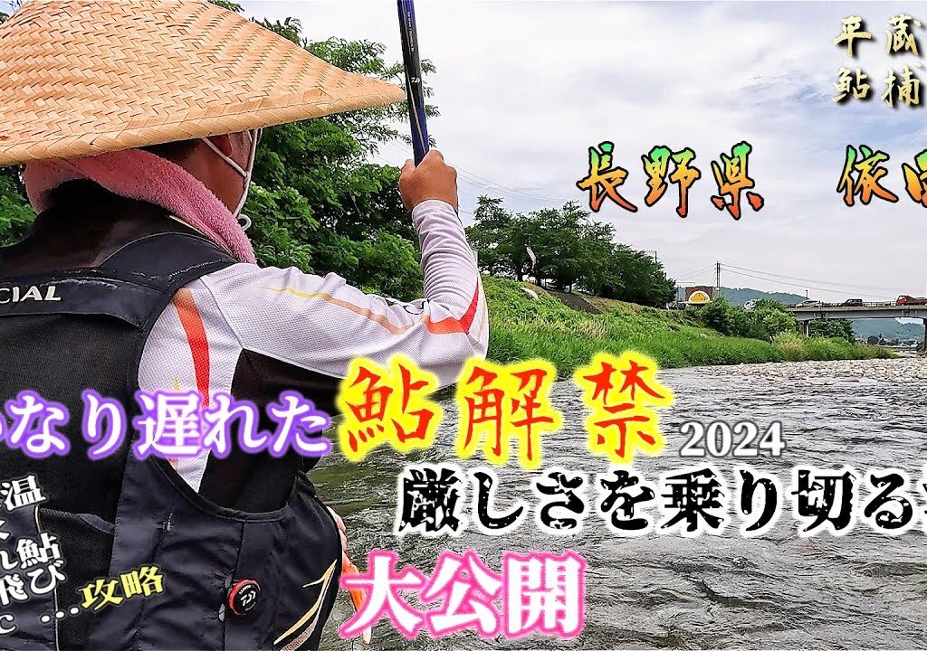 【The・鮎攻略】解禁後の群れ鮎を掛けて行くには？(浅場か深場か！？)その策を大公開！”長野県依田川” 平蔵鮎捕縛釣！