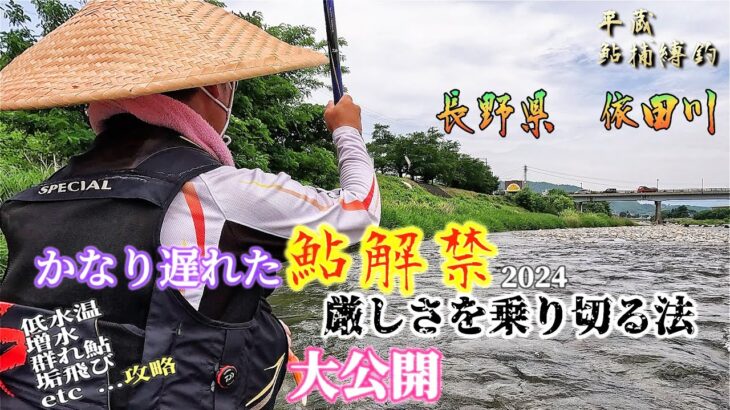 【The・鮎攻略】解禁後の群れ鮎を掛けて行くには？(浅場か深場か！？)その策を大公開！”長野県依田川” 平蔵鮎捕縛釣！