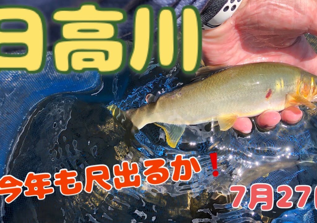 takeちゃんの鮎つりでGO!! 日高川(2024.7.27）