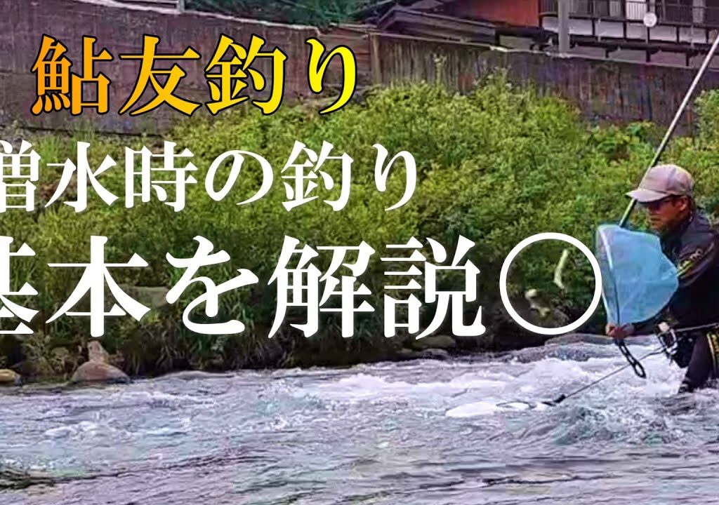 鮎友釣り　脱初心者のために【保存版】