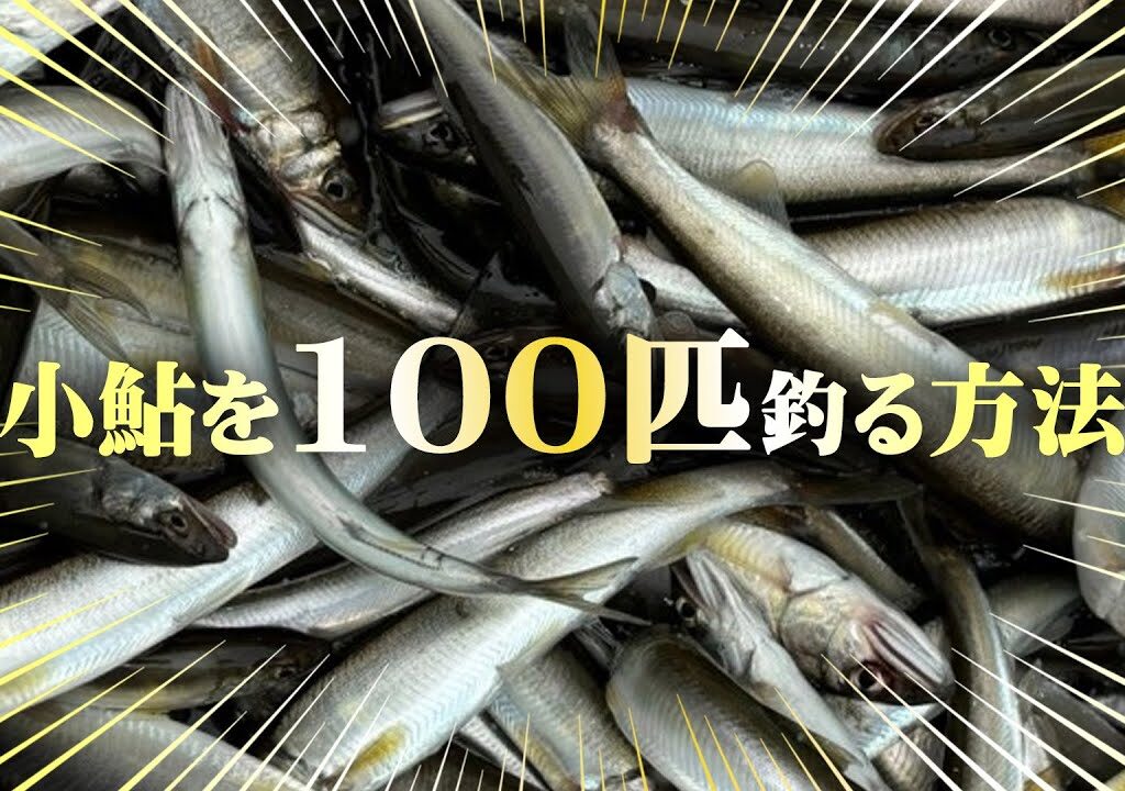 【川のサビキ】小鮎釣りを始めてみよう！！