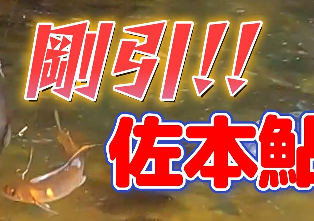 【鮎釣り】おっちゃん、コテンパンにやられる