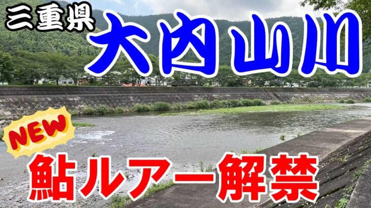 【アユイング】大内山川ポイントガイド【キャスティングアユ】
