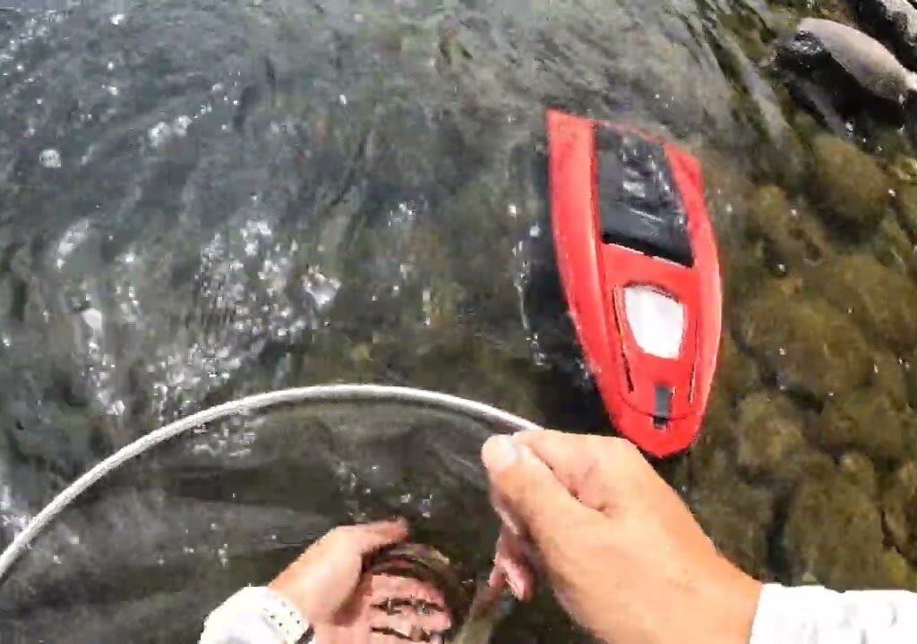 [鮎釣り]鬼怒川、撃沈‼
