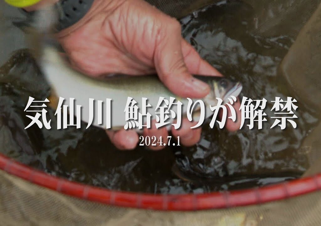 すみたホットライン：気仙川で「鮎釣り」が解禁