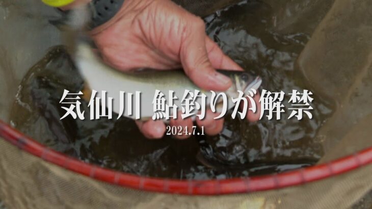 すみたホットライン：気仙川で「鮎釣り」が解禁