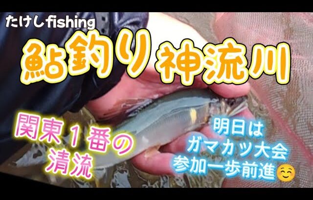 【鮎釣り】神流川ガマカツ鮎釣り大会初めての・・🥳前乗りでポイント確認🧐