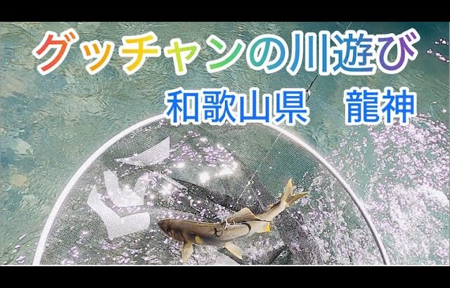 グッチャンの川遊び　和歌山県　龍神【鮎】【友釣り】